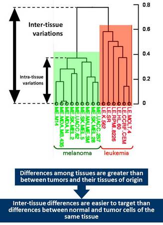 cancertissuedifferences